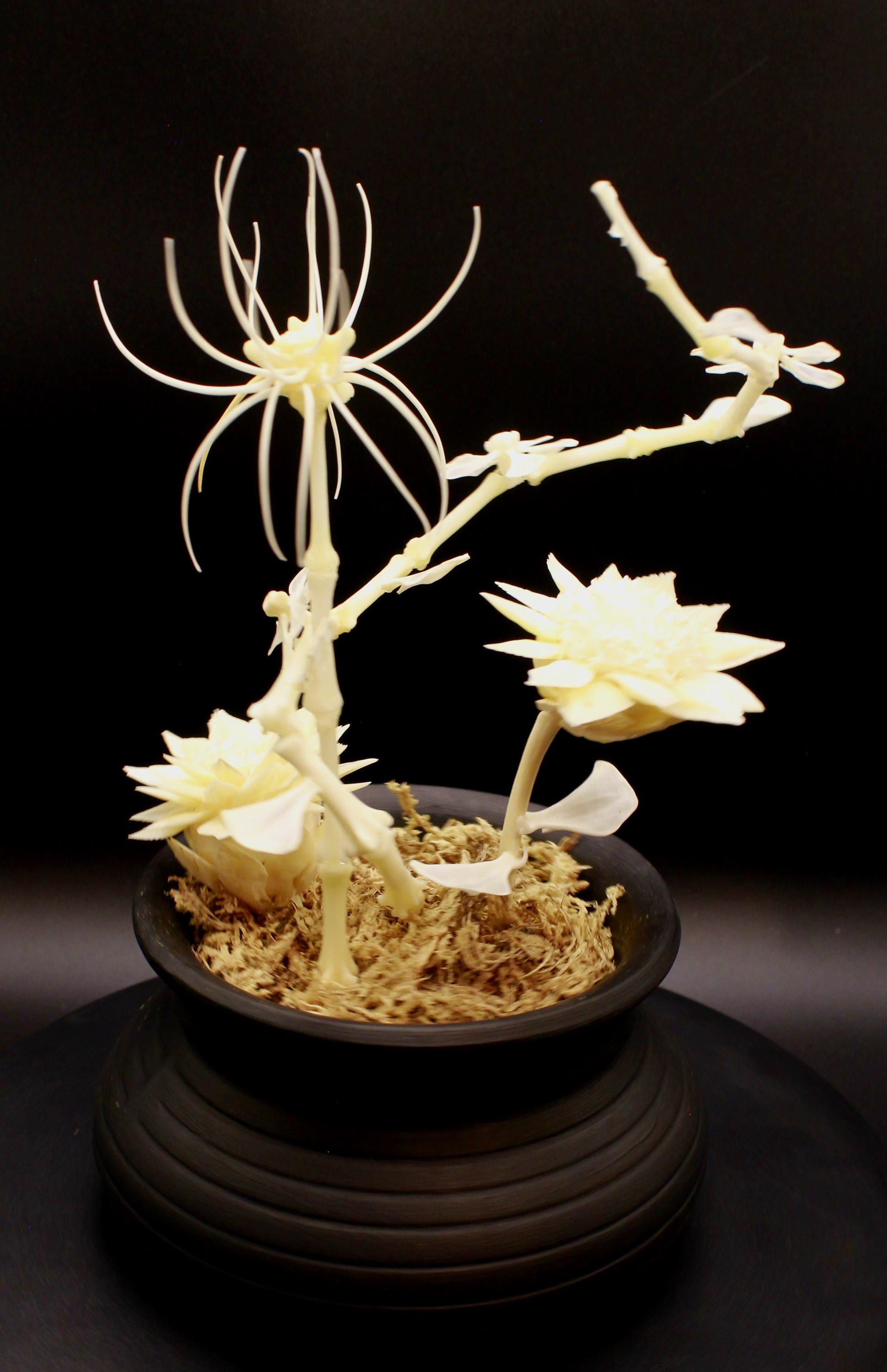 Handmade Bone Flowers Set Under a Cloche - Etsy