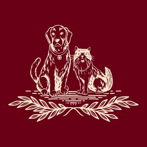 Instagram Zulu Dog And Cat Boutique Taleology