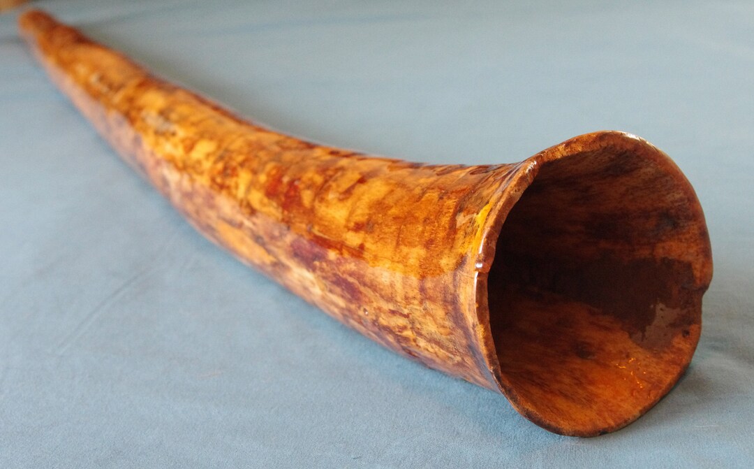 Handmade Agave Didgeridoo Key of E 50 Desert Mountain Etsy