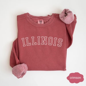 Illinois Sweatshirt, Illinois Gift, Chicago Crewneck, Unisex Comfort Colors, Illinois State Sweatshirt Gift, Illinois College Student Gifts