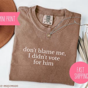 Don&#39;t Blame Me, I Didn&#39;t Vote For Him Political Shirt, I Voted Democrat Tee, Comfort Colors, Sarcastic Shirt, Protest Apparel, Humor Shirt