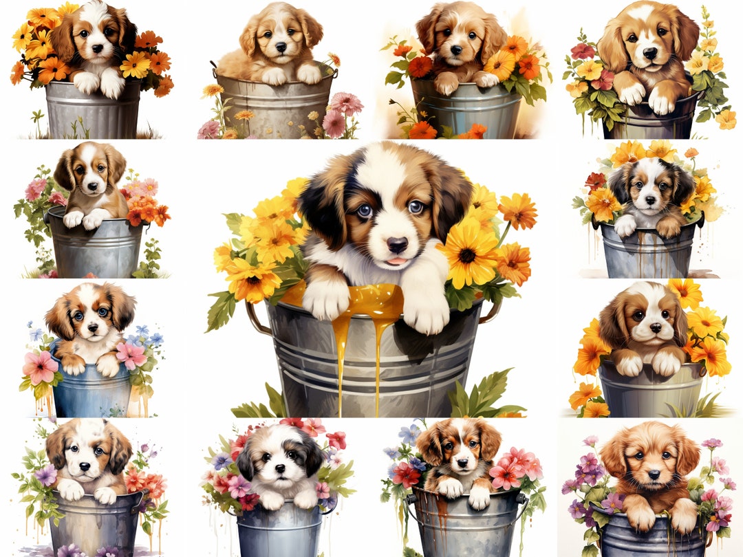 74 Cute Puppy in a Flower Bucket Clipart PNG Bundle, Watercolor Dog ...
