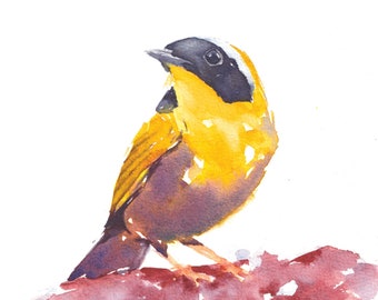 Common Yellowthroat Warbler on a Branch, Watercolor 8 x 10" Bird Art Print by Andrea Ang (FatSparrowArt)