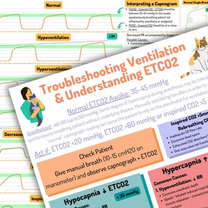 May include: A colourful infographic featuring a cat illustration, explaining how to troubleshoot ventilation and understand end-tidal carbon dioxide (ETCO2) levels in anaesthesia. The infographic includes a chart showing normal, hypoventilation, and hyperventilation capnograms, as well as a table outlining common causes of hypocapnia and hypercapnia.