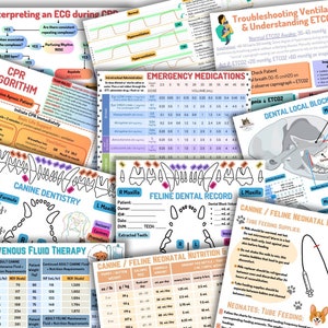 Paquete de guía veterinaria imprimible: ETCO2 + capnografía, medicamentos de emergencia + ECG, gráficos de odontología + bloqueos, terapia de FIV, nutrición