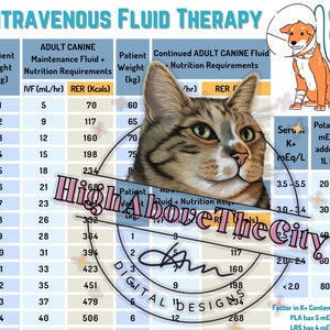 Tableau imprimable FIV et Kcal Vétérinaire -- Débits liquidiens et nutrition du patient hospitalisé