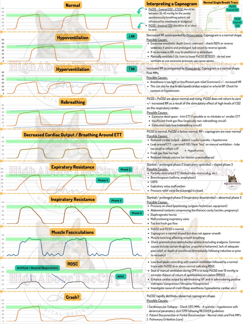 Hyperventilation Pattern Veterinary Guide Bundle: Emergency Meds, CPR, Dental, Nutrition ...