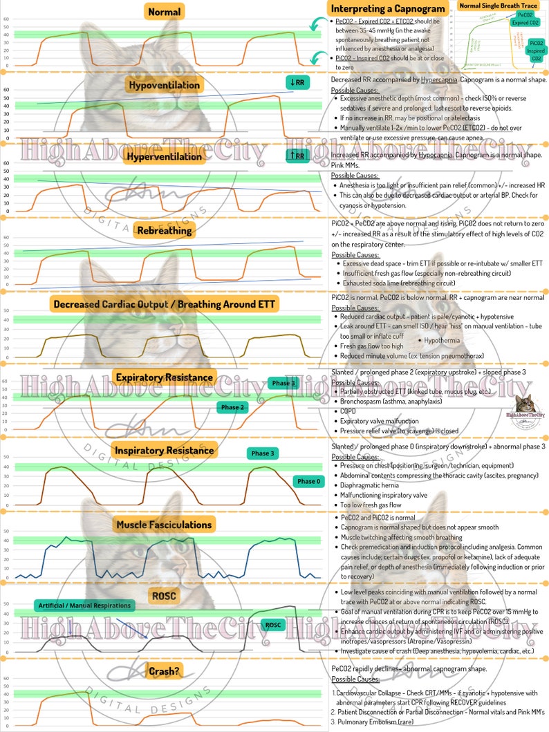Printable Veterinary ETCO2 Capnography Guide - Etsy