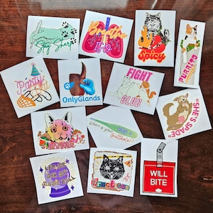 Veterinary Sticker Set (13 pcs)