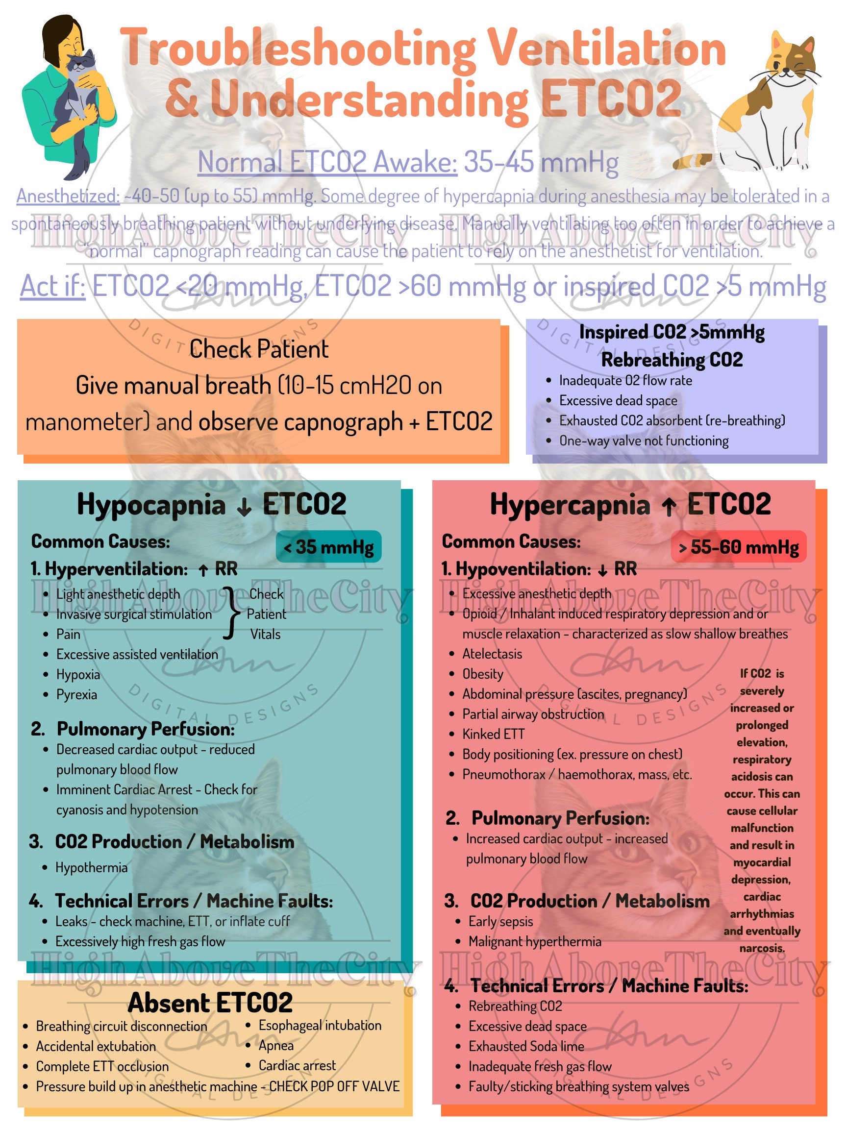 Printable Veterinary ETCO2 Capnography Guide Etsy Australia