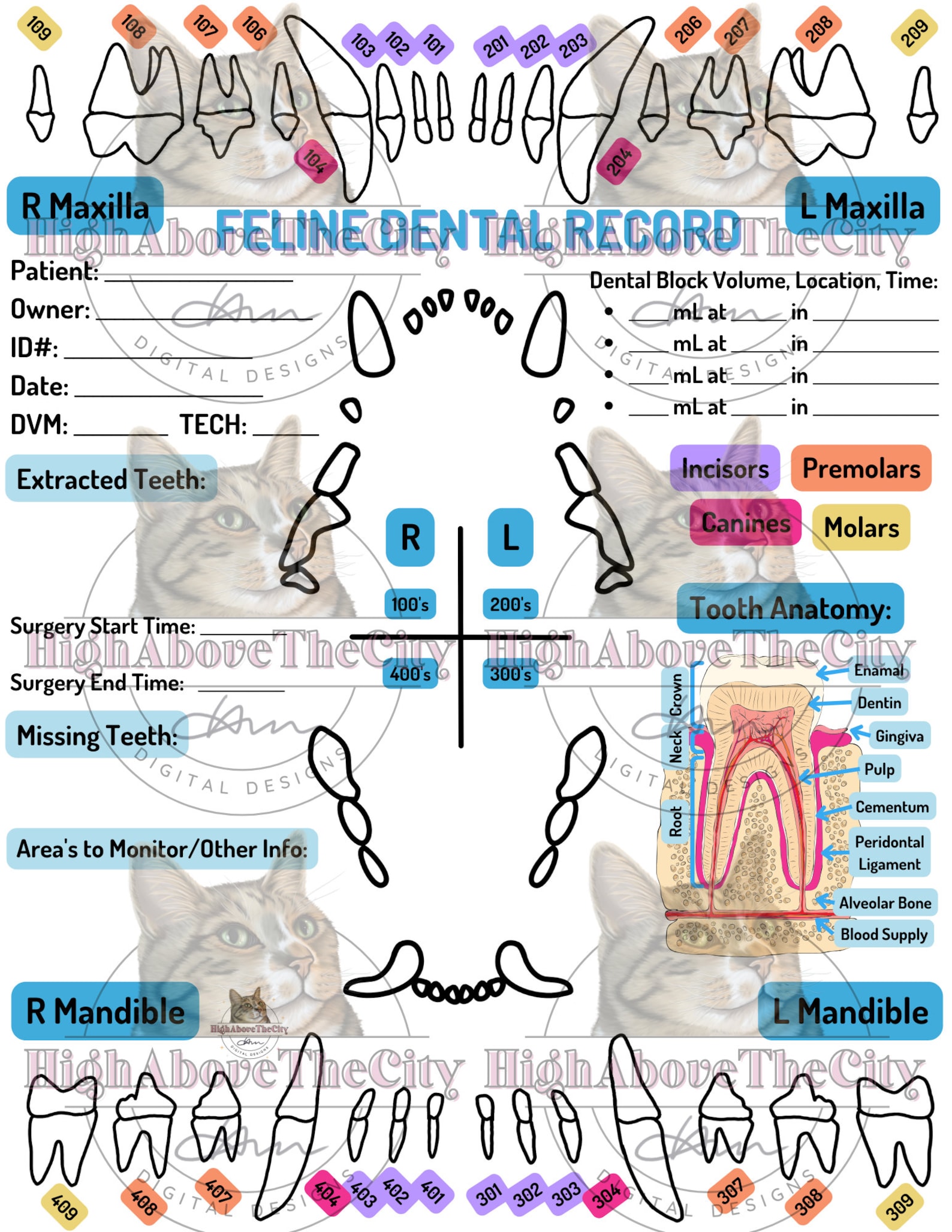 Printable Veterinary Dental Charts and Local Blocks Canine/feline Etsy