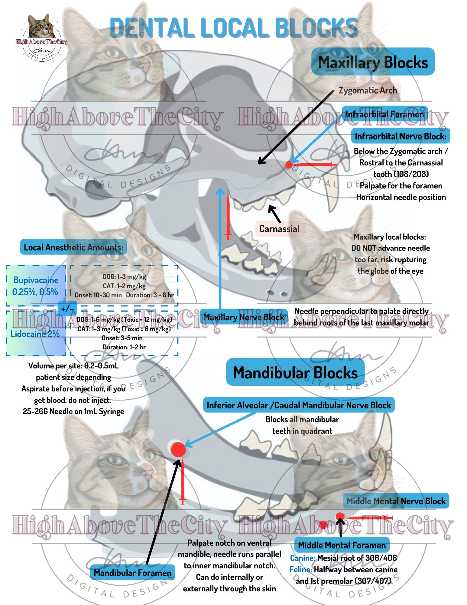Printable Veterinary Dental Charts and Local Blocks Canine/feline Etsy