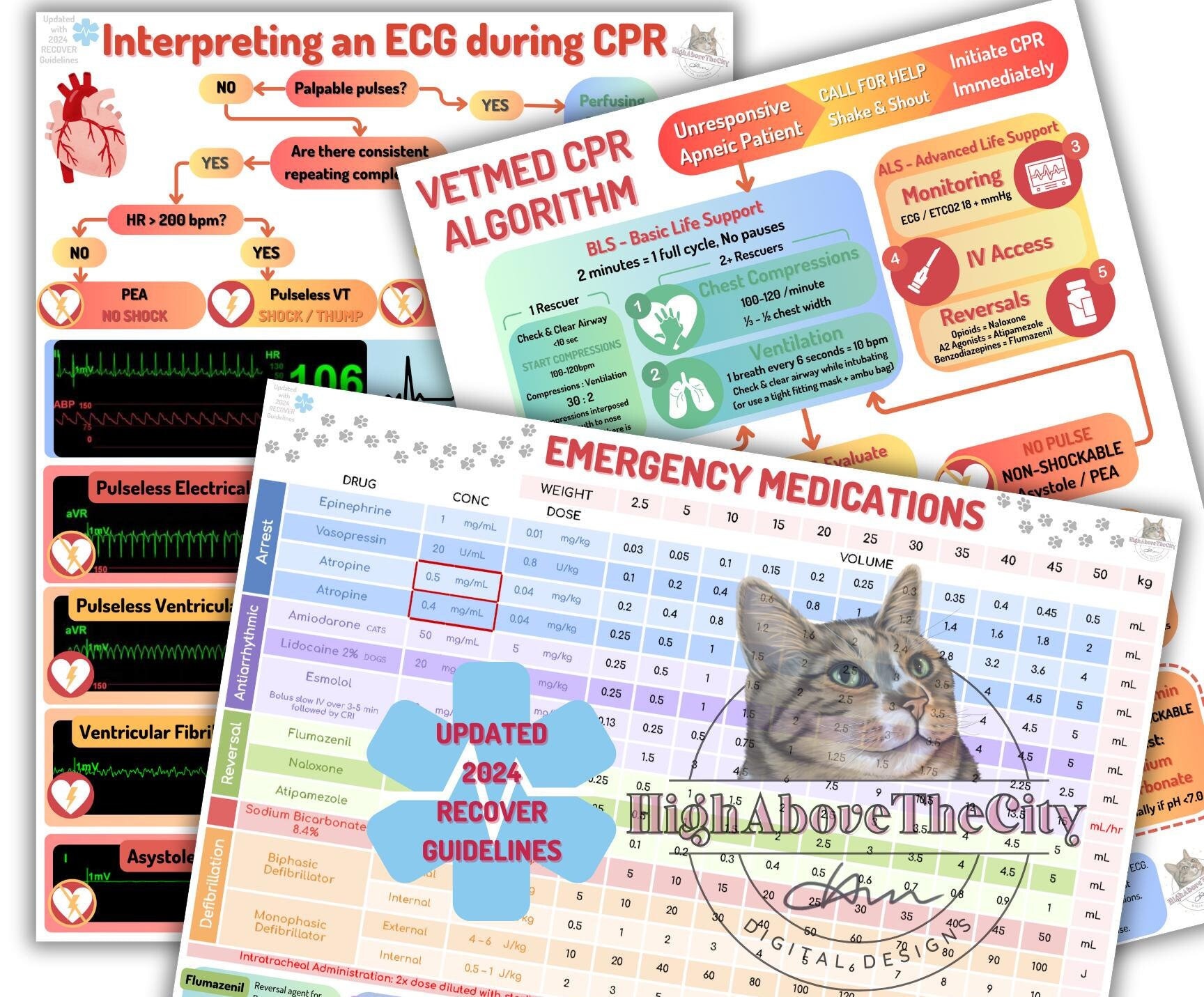 Printable Veterinary Emergency Medication and CPR Guide (updated 2024 ...