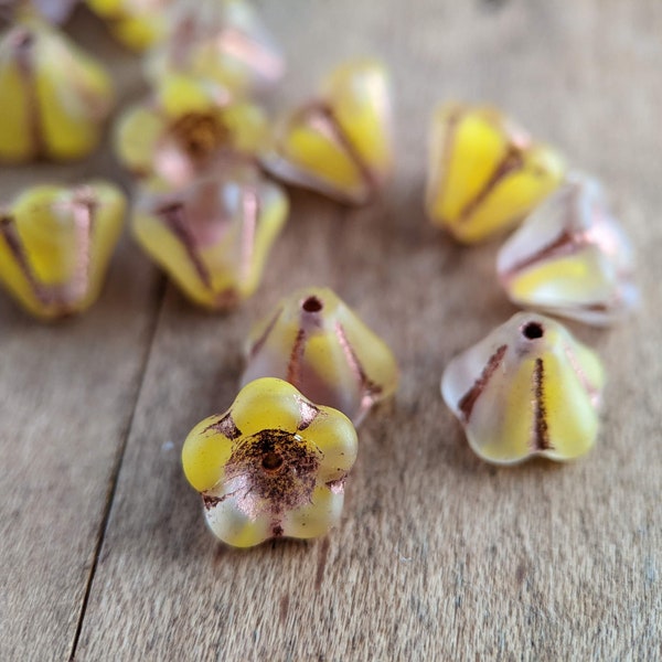 20pcs: Matte Clear and Vibrant Yellow with Copper Wash 8x6mm Bell Flower, Pressed Czech Flower Glass Beads, CG-FL-BF8x6-8
