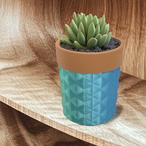May include: A small succulent plant in a turquoise planter with a brown rim. The planter has a geometric pattern and is sitting on a wooden shelf.