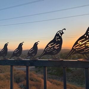 Rusty Rustic Metal Quail Family of 5 (11 gauge steel) / Yard art / Garden decor / Southwest / Free shipping