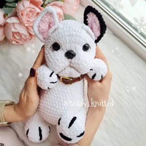 May include: White crocheted French bulldog plush toy with black ears and paws. The toy is wearing a brown leather collar. The toy is being held by a person's hands. The text "@teddy_knitted" is visible on the toy.