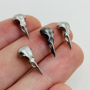 Small Crow skull Casting, Sterling Silver crow skull Casting, Goth Casting, For Jewelry Makers, 925 Jewelry Component, 925 Crow skull cast