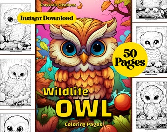 50 Cute Owl Coloring Page Book, Printable PDF Sheets, Instant Download, Grayscale Coloring, Adults + Kids, Woodland Wildlife Animals Bird