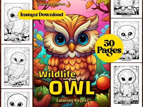 Coloring Book for Adults: Amazing Owls: Owls Coloring Book with