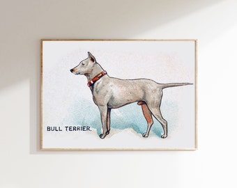 Bull Terrier art printable, dog portrait, vintage illustration