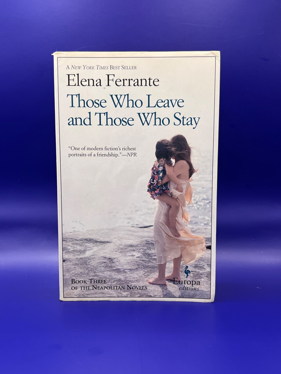 Those Who Leave and Those Who Stay book 3, by