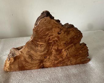 Burr Wood Specimen Slice, 16x10cm, Natural Live Edge Display, Rustic Wooden Shelf Decor, Beautiful Grain Styling Piece