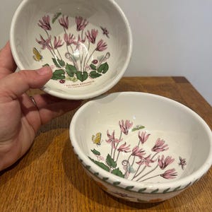 Paar Portmeirion Botanic Garden Schalen | Alpenveilchen Efeu Blätter Design | 14,5cm | Ausgezeichneter Zustand | Florale Geschenkidee
