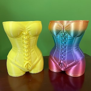 May include: Two decorative corset-shaped planters. One is solid yellow, the other is a gradient of colors from pink to blue. Both have a lace-up design in the front. The planters are made of a smooth, shiny material and sit on a dark brown surface.