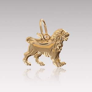 14k Solid Gold Leo Zodiac Necklace, Leo Symbol Pendant, Delicate Leo Zodiac Charm, Astrology Necklace, 3D Lion Charm, Valentine Gift For Her
