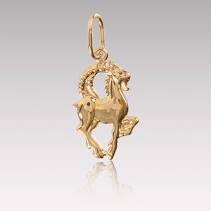 14k Solid Gold Capricorn Zodiac Necklace, Capricorn Symbol Pendant, Delicate Capricorn Zodiac Charm, Astrology Necklace, 14K Jewelry Gift