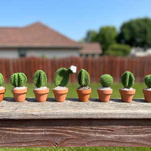 Mini crocheted cactus in terra cotta pot