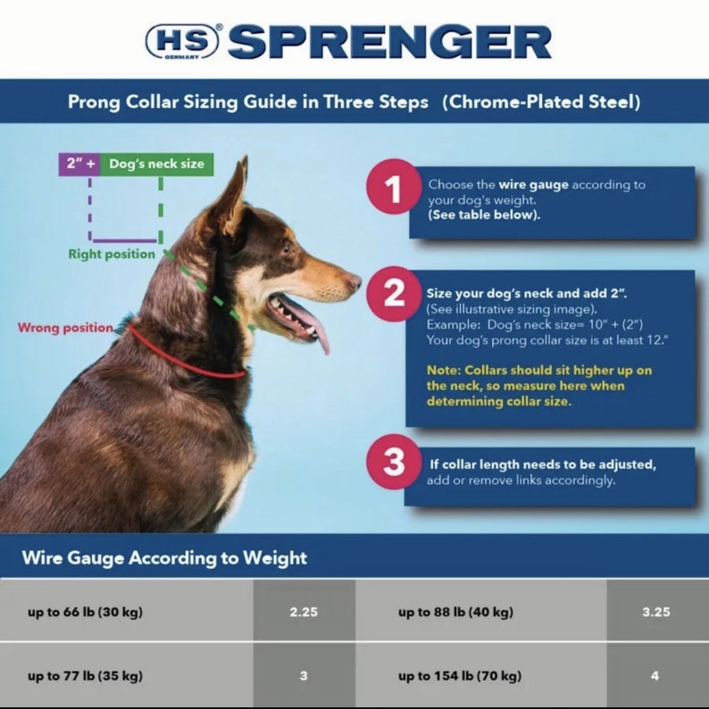 Herm SPRENGER Prong Dog Training Correction Collar, Steel Chrome Plated