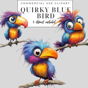 Quirky Bird Clipart - Pássaros engraçados PNG - Ilustrações de pássaros caprichosos - Download digital para artesanato - Cute Bird Clipart - Arte de pássaros para impressão
