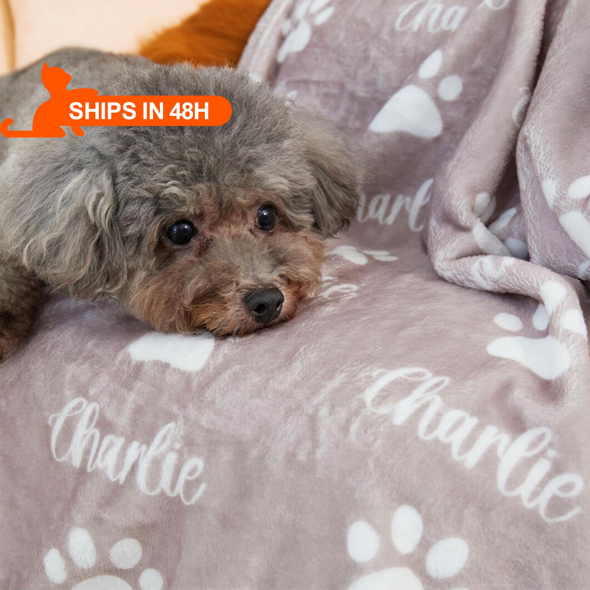 Small down blanket for dog hotsell