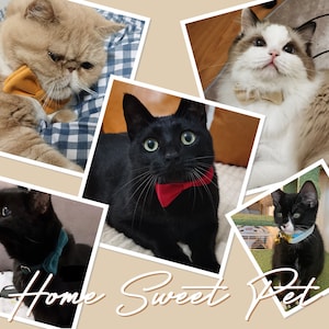 Personalized Velvet Cat Collar, Custom Luxury Cat Collar Bowtie Leash Set, Custom Engraved Kitten Name Safety Buckle, Custom Pet Collar Gift image 2