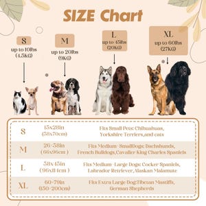 Custom Pet Blanket, Personalized Dog Cat Blanket with Paw Print, Custom Soft Name Blanket for Dog, Puppy Blanket, Coming Home Gift New Puppy image 5