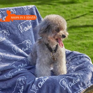 May include: A small gray dog sitting on a blue blanket with the name "Chloe" printed on it multiple times. The blanket is soft and plush, perfect for cuddling.