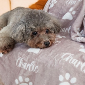 May include: A gray and brown dog rests on a light purple blanket. The blanket features white paw prints and the name "Charlie" in a cursive font. The dog has a fluffy coat and is looking towards the camera.