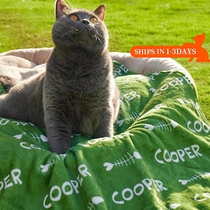 Peut inclure: Un chat gris allongé dans un lit pour animaux de compagnie vert avec le nom "Cooper" imprimé dessus. Le lit a un motif d'os blancs.