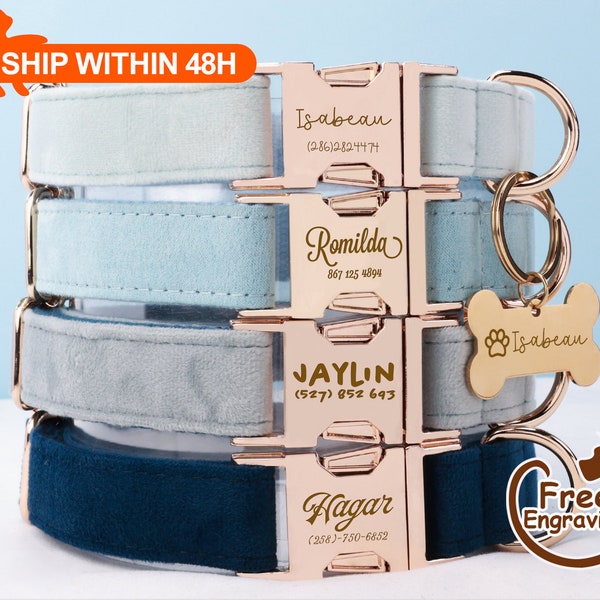 Aangepaste fluwelen halsband leash bow set, gepersonaliseerde puppyhalsband met gegraveerde naam, bruiloft halsband, corduroy halsband met gouden hardware