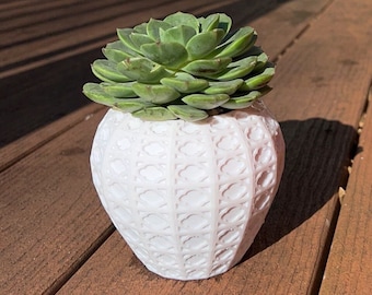 Vaso succulento geometrico, fioriera succulenta, vaso per piante stampato in 3D, vaso per piante da interno