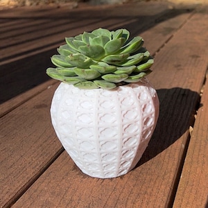 Vaso succulento geometrico, fioriera succulenta, vaso per piante stampato in 3D, vaso per piante da interno