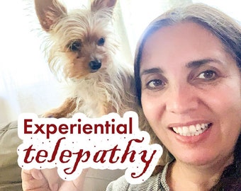 Experiential Telepathy - Telepathy that works