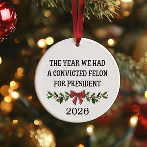 Anti Trump Christmas Ornament - Funny Christmas Ornament - Political - 2026 President - Funny Christmas - Christmas Gift