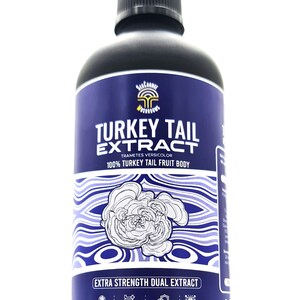 Truthahnschwanzpilz Dual-Extrakt Tinktur Extra Stärke 100ml Trametes versicolor