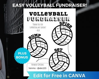 Editable Volleyball Fundraiser, Quick Easy Printable Volleyball Team Fundraiser, Color in Volleyball Sponsor My Season Fundraiser Flyer