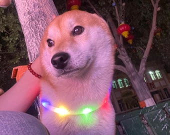 USB Rechargeable LED Pet Collar - Glow-in-Dark Night Safety Collar for Pets, 4 Light Modes, Adjustable & Waterproof