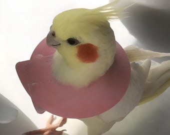 オカメインコやオウム用の鳥類用回復用首輪 - 羽毛むくじゃらや傷口に優しいソフトな噛みつき防止コーン（3.1 cm×10.3 cm）