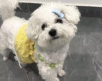 Pinzas para el pelo para perros: 15 estilos, juego de 5 piezas / Pasadores con lazo divertidos para osito, yorkshire terrier y bichón. Regalo para la vuelta al cole.